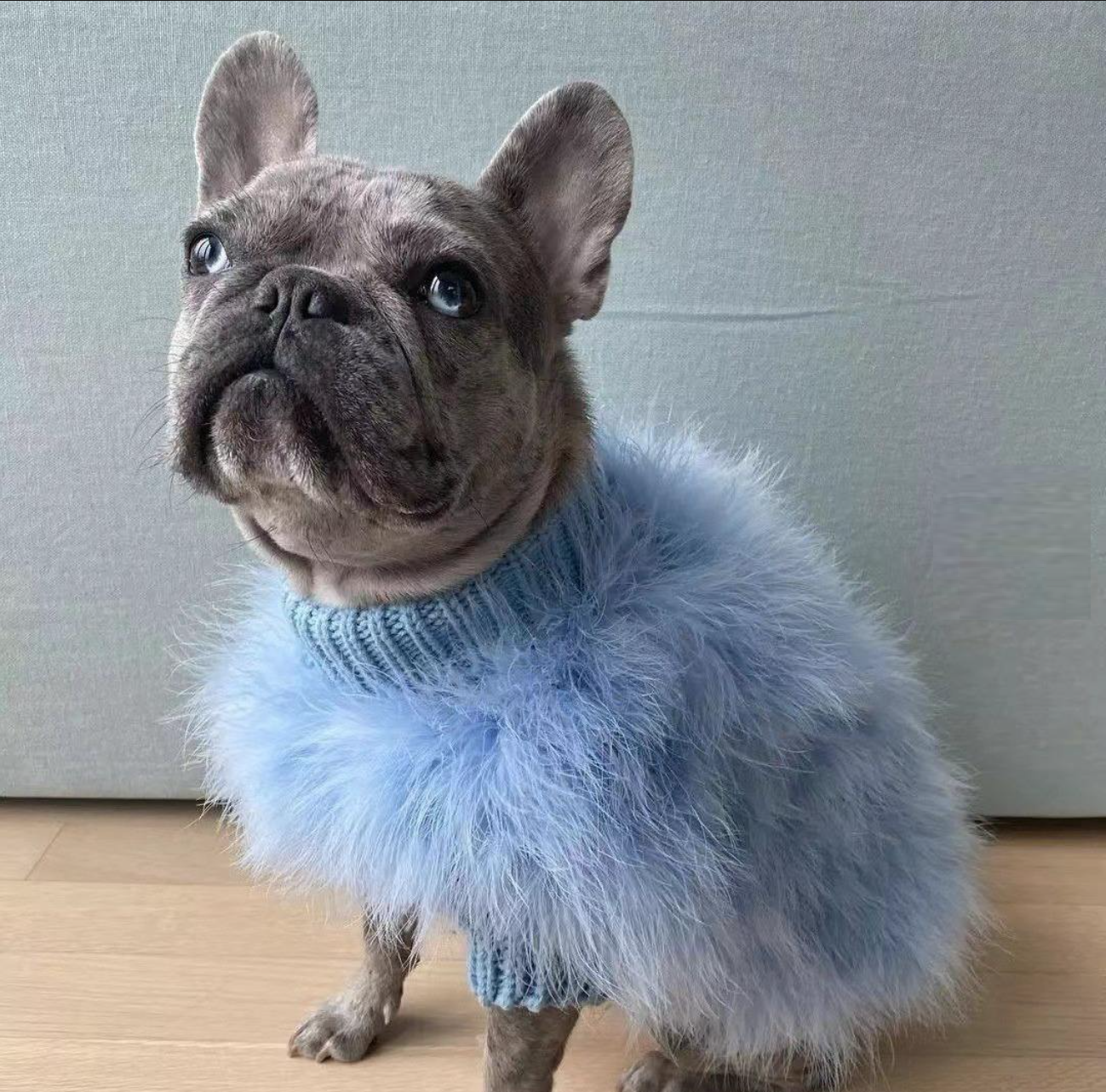 Fuzzy Dog Sweater