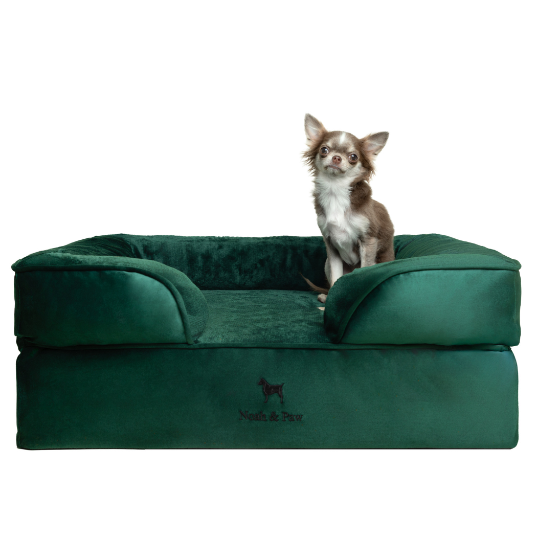 NOAH AND PAW LLC - Velvet Orthopedic Pet Bed, Memory Foam, Infused with Cooling Gel