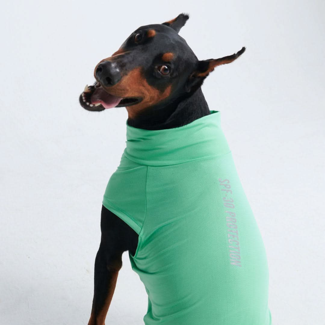 Spark Paws - Sunblock Dog T-Shirt - Mint