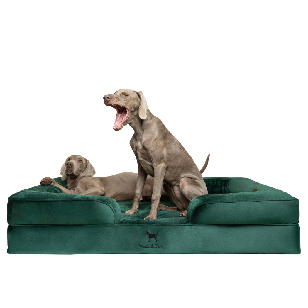 NOAH AND PAW LLC - Velvet Orthopedic Pet Bed, Memory Foam, Infused with Cooling Gel