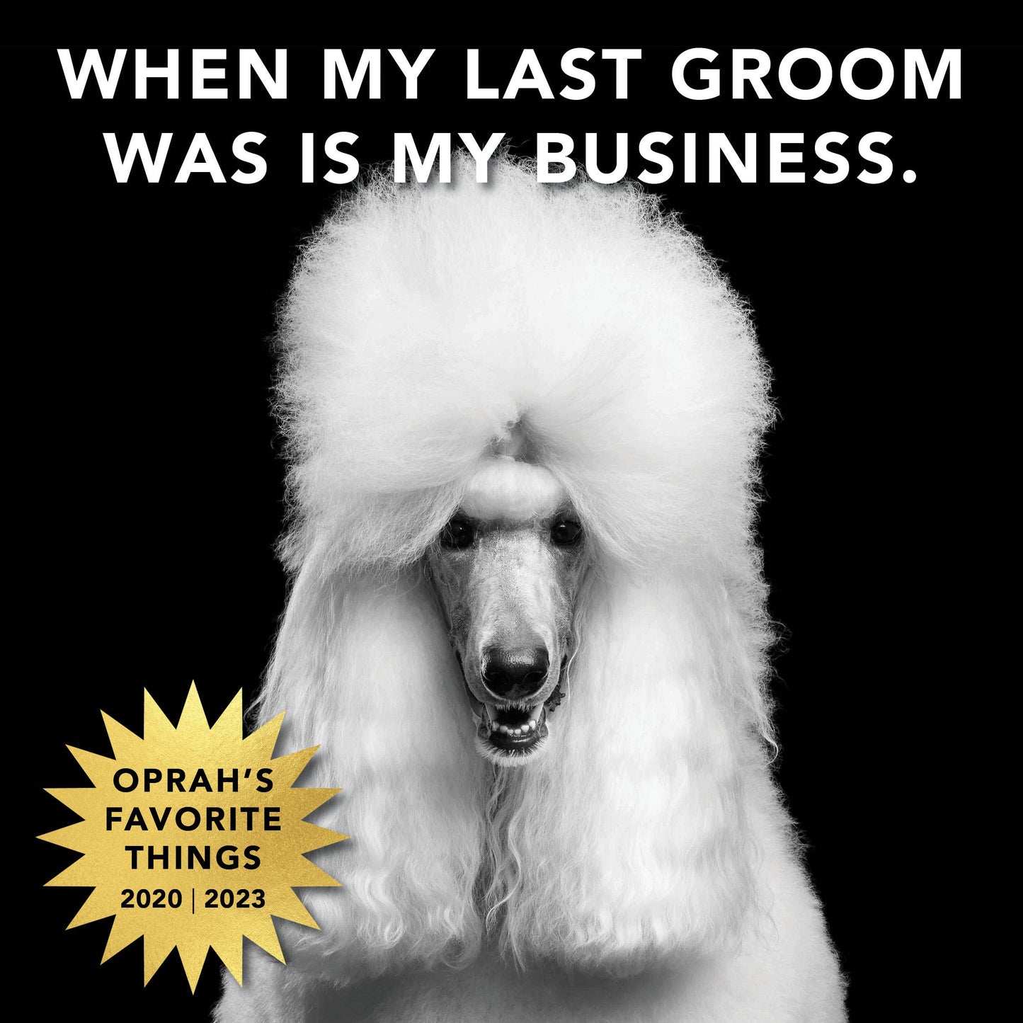 PRIDE+GROOM - THE MANE TAME | WATERLESS SHAMPOO FOAM