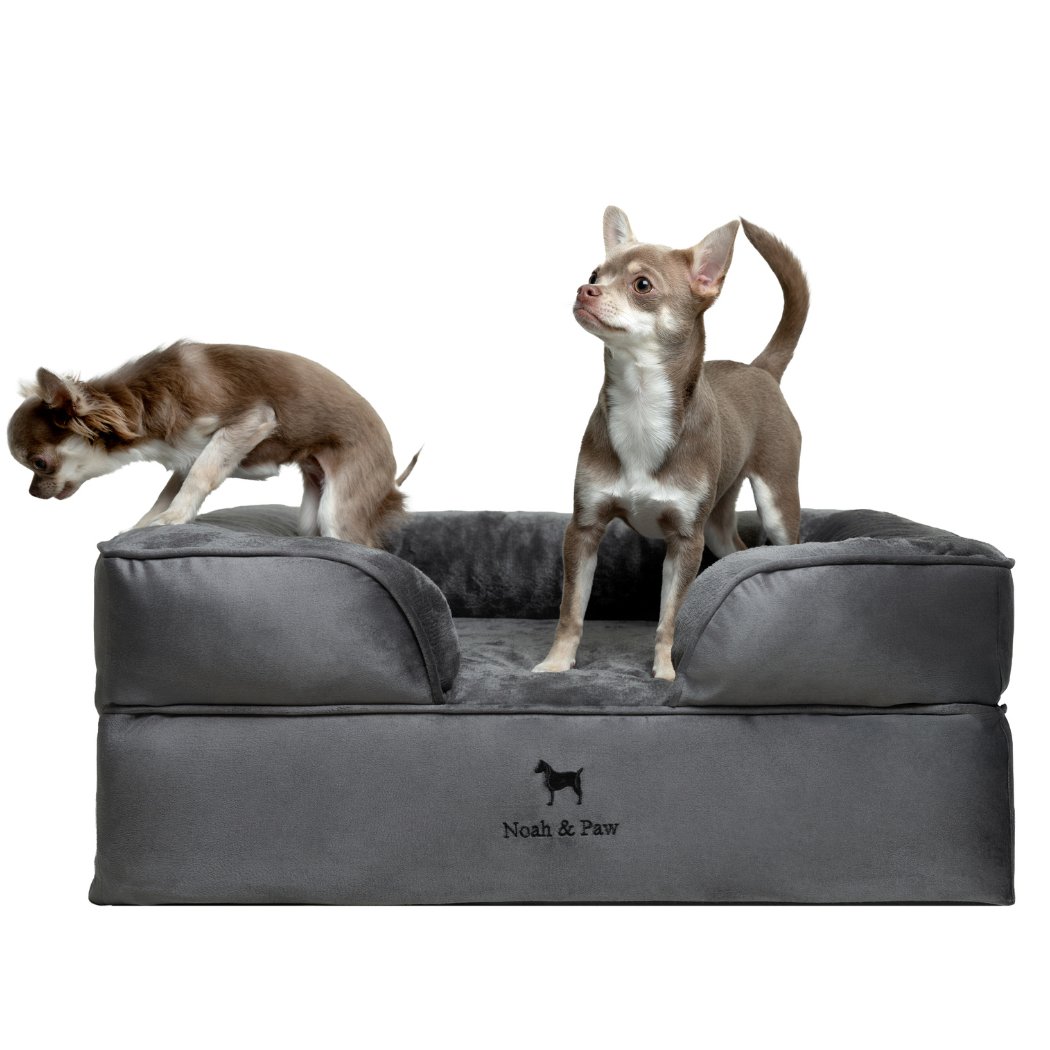 NOAH AND PAW LLC - Velvet Orthopedic Pet Bed, Memory Foam, Infused with Cooling Gel