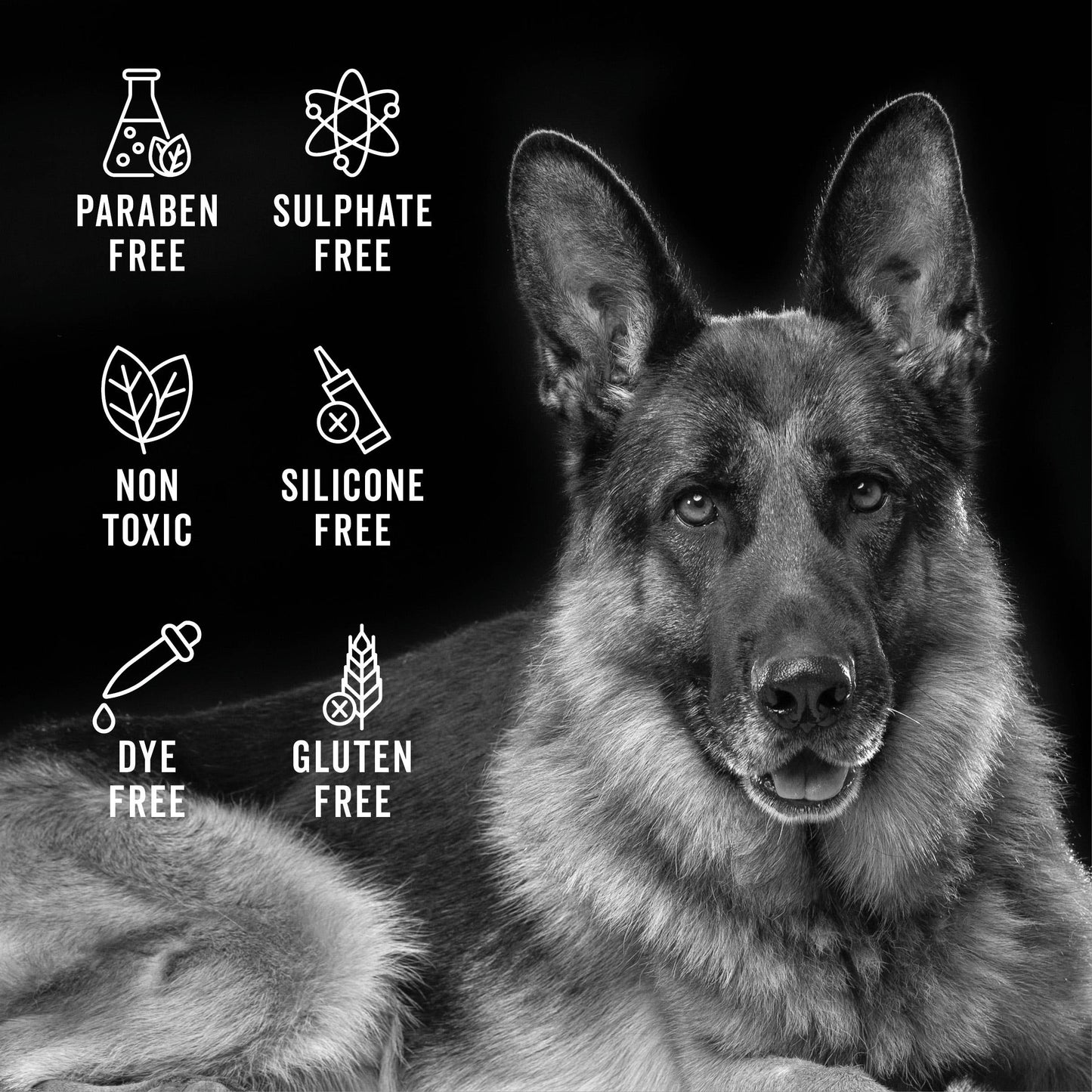PRIDE+GROOM - GALLON SAMPLE PACK SPECIAL