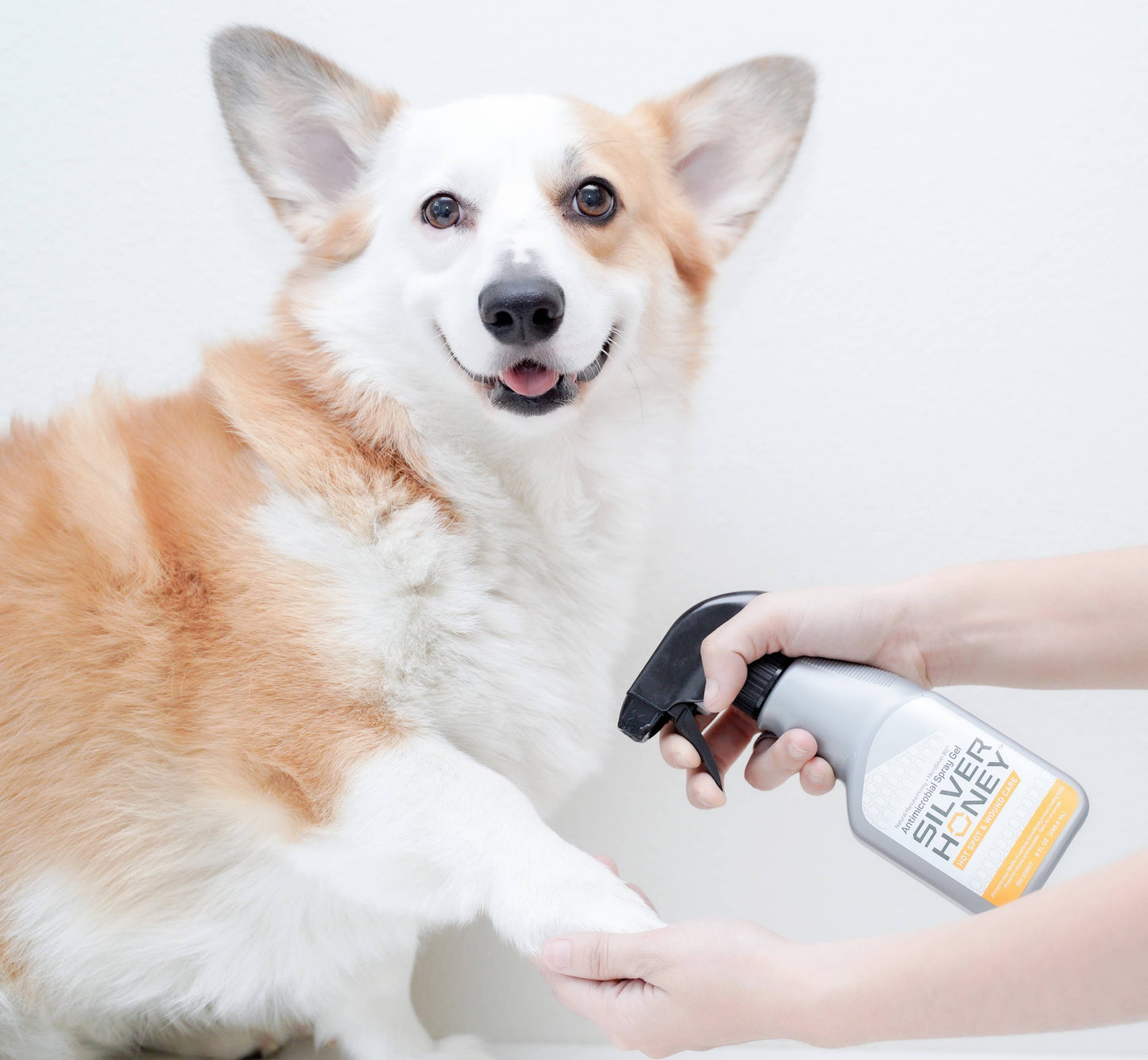 Pet Palette Distribution - Absorbine Pet - Silver Honey Hot Spot & Wound Spray 8 fl oz