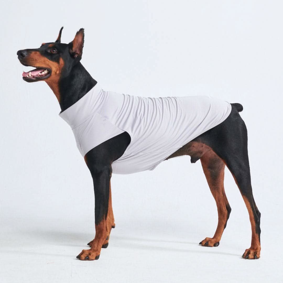Spark Paws - Sunblock Dog T-Shirt - Grey