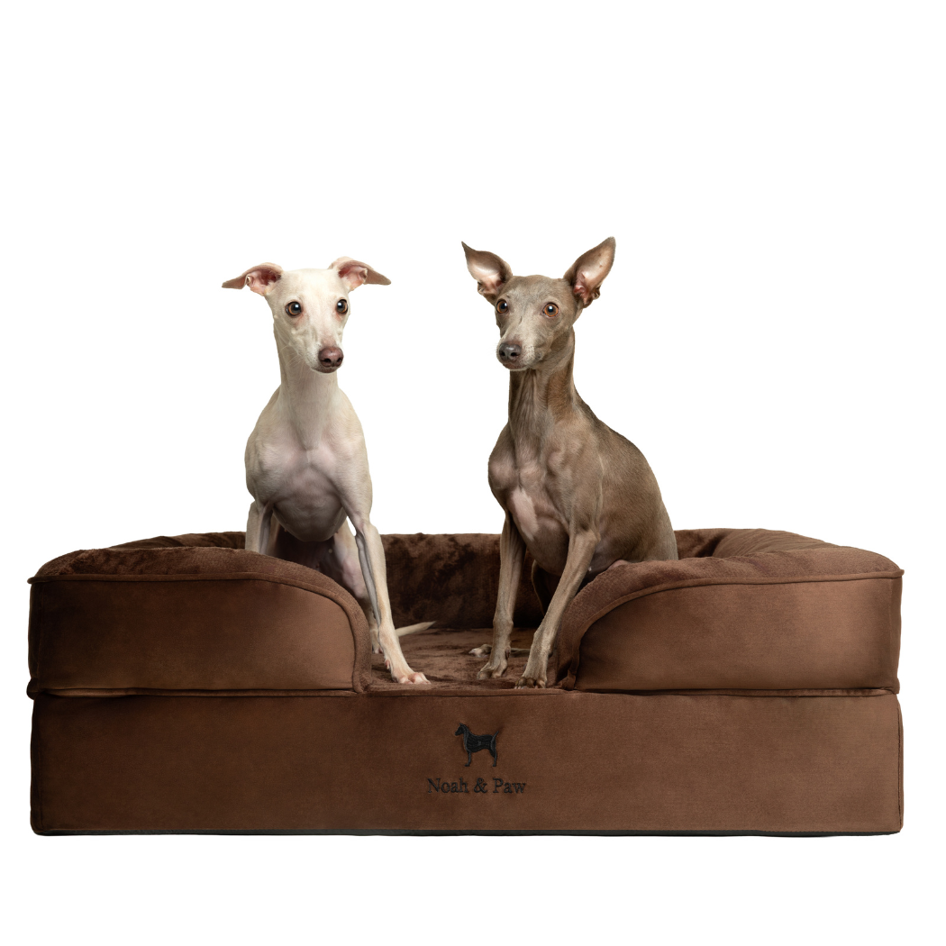 NOAH AND PAW LLC - Velvet Orthopedic Pet Bed, Memory Foam, Infused with Cooling Gel