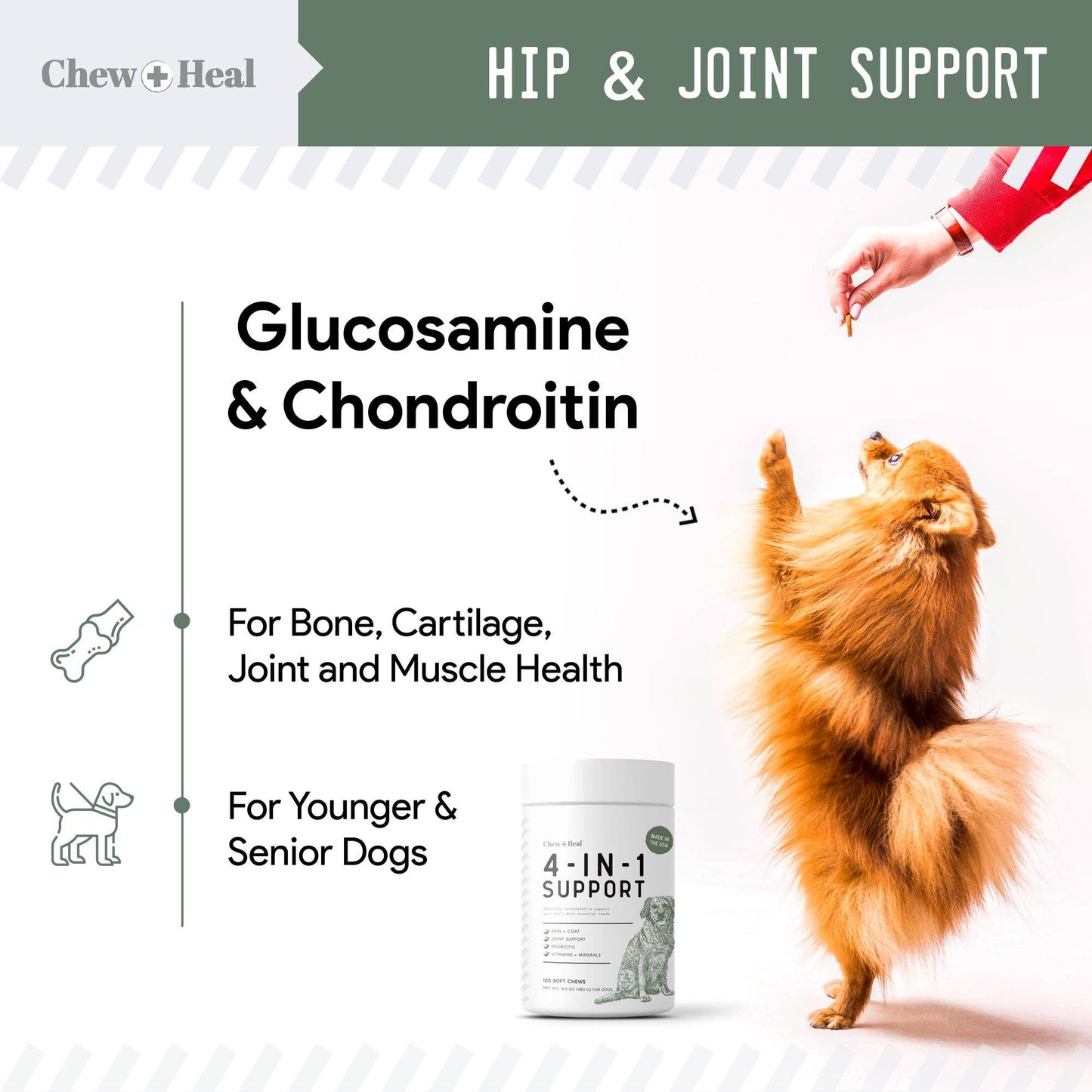Chew + Heal - 4-IN-1 Support Pet Supplement for Cats/Dogs