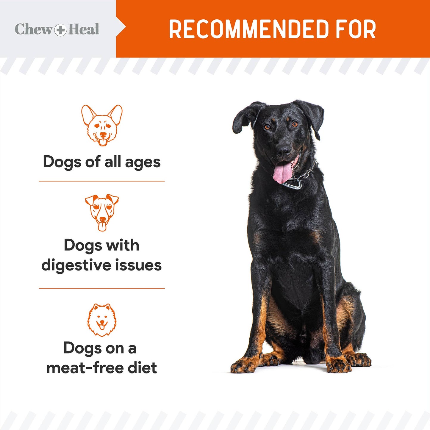 Chew + Heal - Crunchy Treats with Pumpkin & Probiotics for Dogs