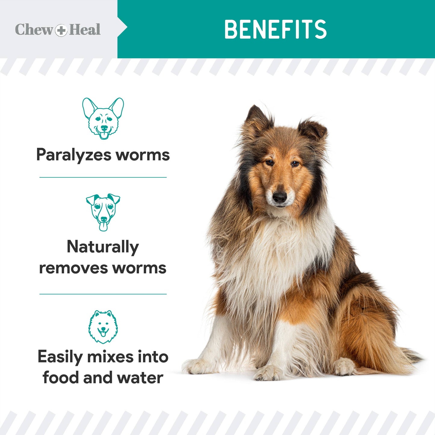 Chew + Heal - Stop The Worms Dewormer Liquid for Puppies & Kittens