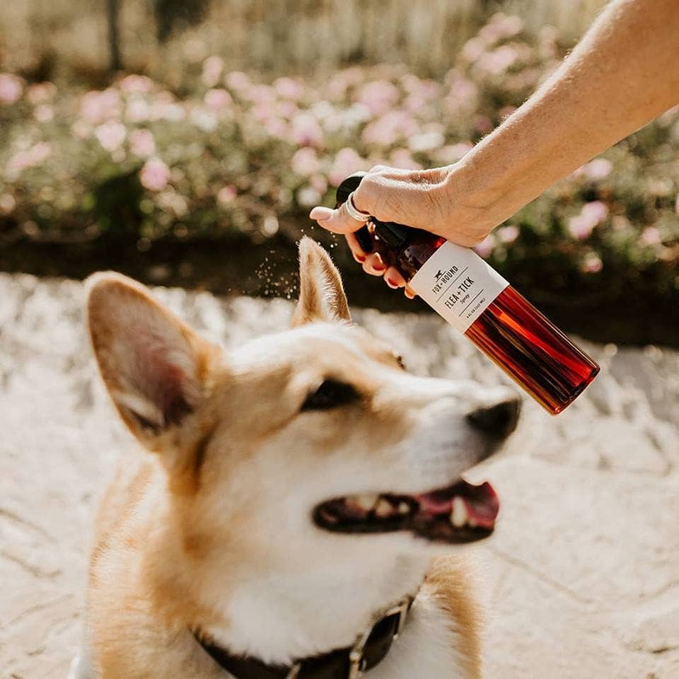 Fox + Hound - FLEA + TICK SPRAY FOR DOGS, NATURAL BUG REPELLENT SPRAY