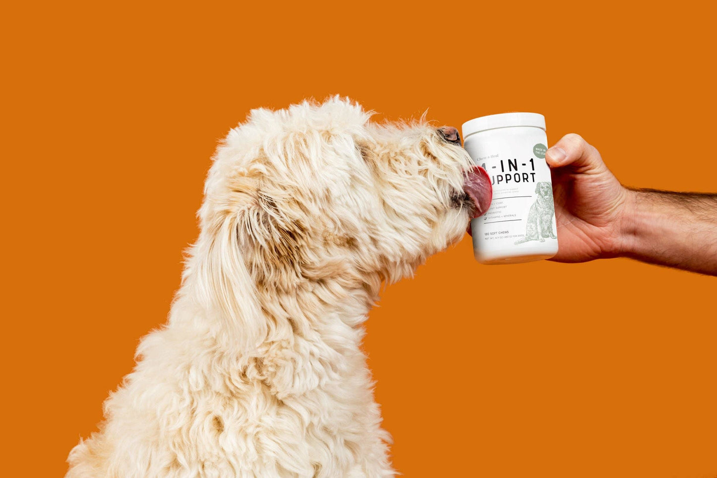 Chew + Heal - 4-IN-1 Support Pet Supplement for Cats/Dogs