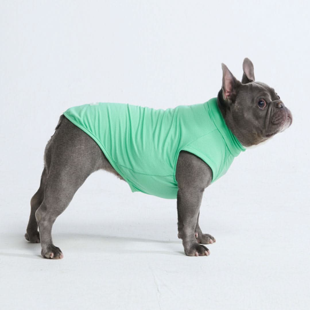 Spark Paws - Sunblock Dog T-Shirt - Mint