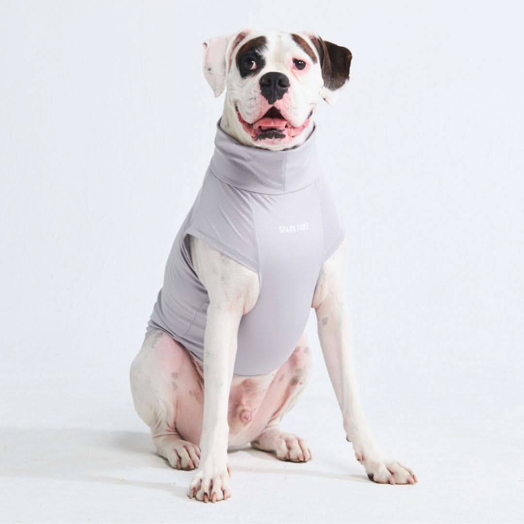Spark Paws - Sunblock Dog T-Shirt - Grey