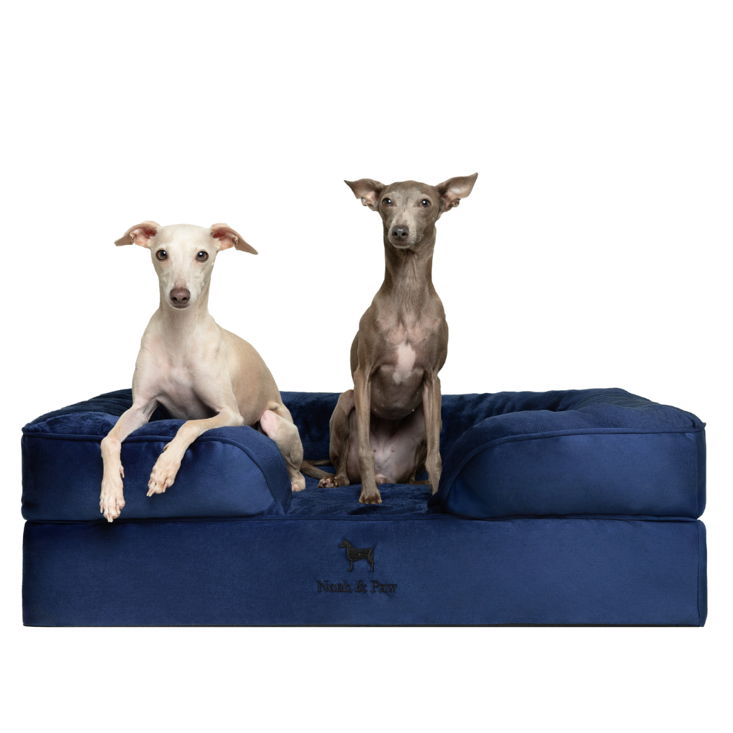 NOAH AND PAW LLC - Velvet Orthopedic Pet Bed, Memory Foam, Infused with Cooling Gel