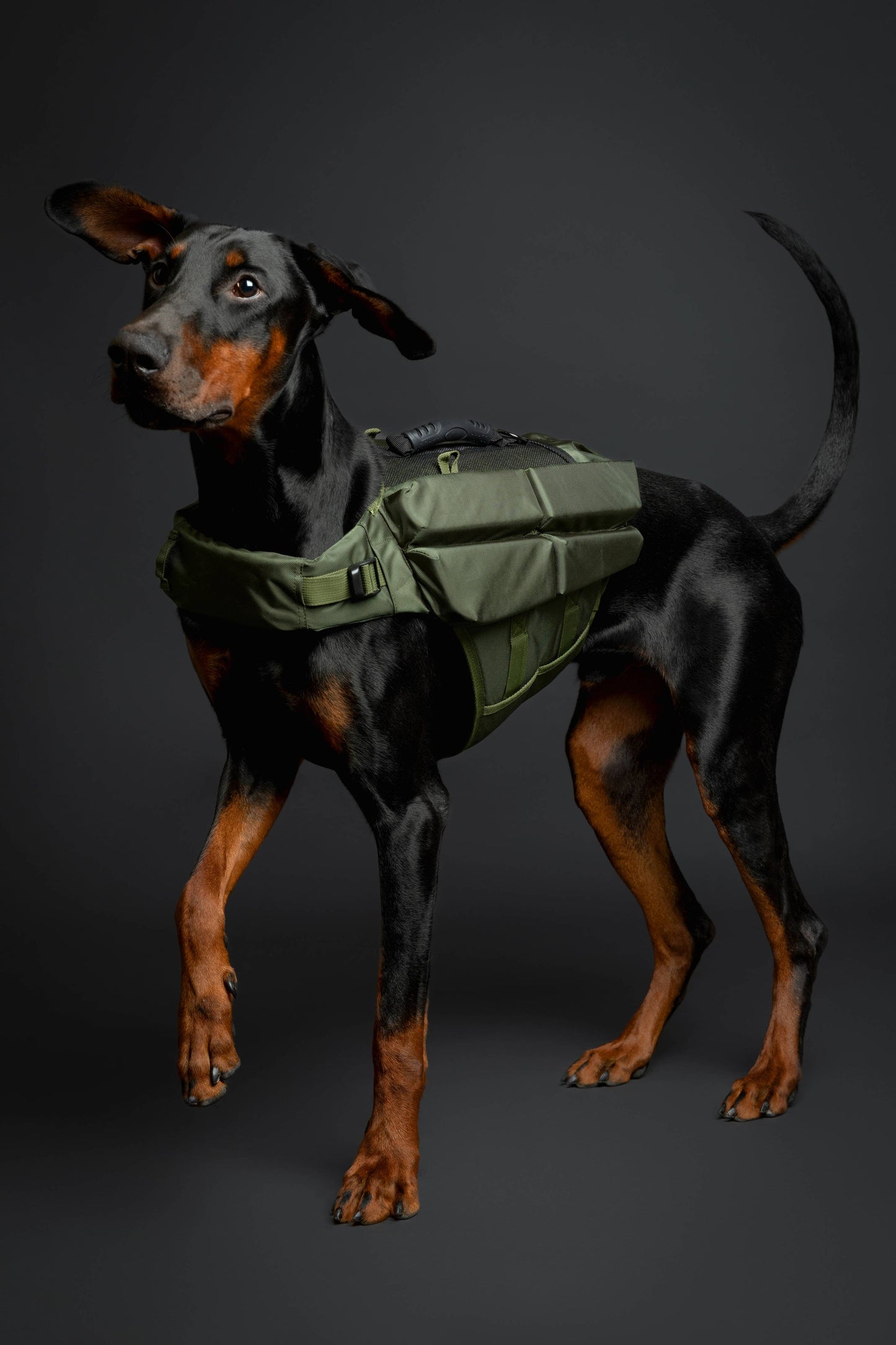 NOAH AND PAW LLC - Human Standards Dog Lifejacket Design with 4x Foam Support for Max Floating - Green