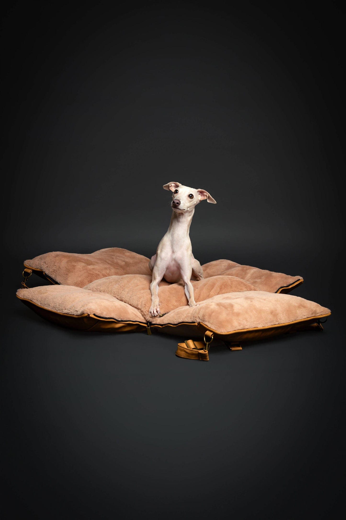NOAH AND PAW LLC - Dog Car Seat Carrier Orthopedic Crushed Foam, Camel, Vegan Leather