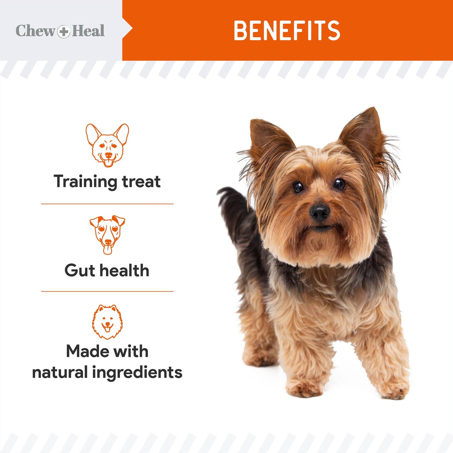 Chew + Heal - Crunchy Treats with Pumpkin & Probiotics for Dogs