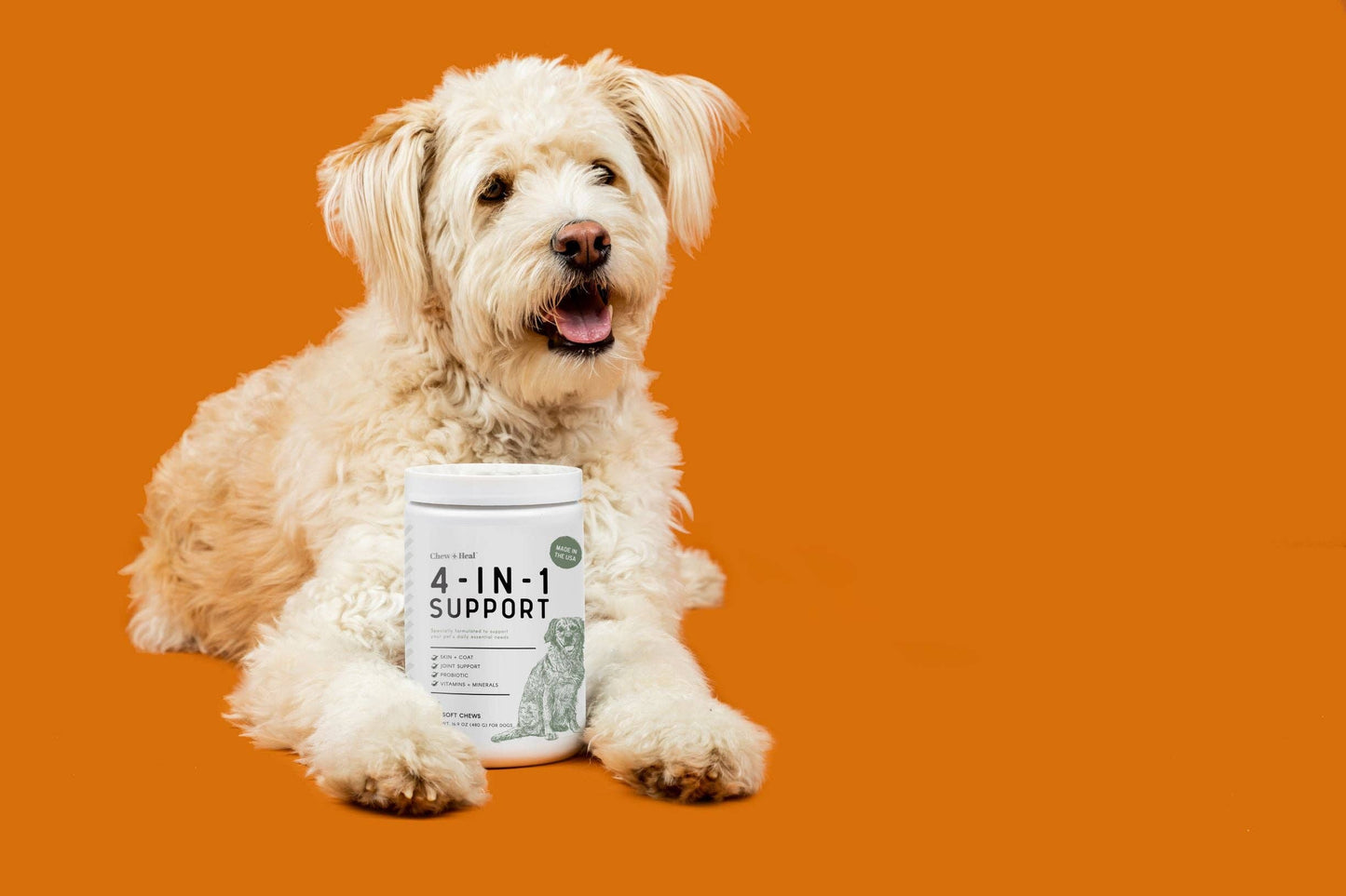 Chew + Heal - 4-IN-1 Support Pet Supplement for Cats/Dogs