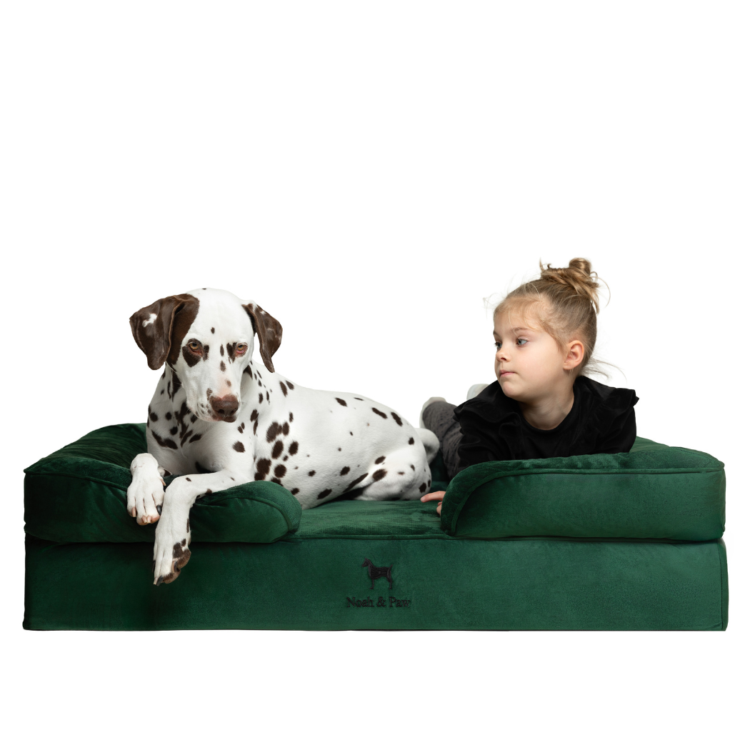 NOAH AND PAW LLC - Velvet Orthopedic Pet Bed, Memory Foam, Infused with Cooling Gel