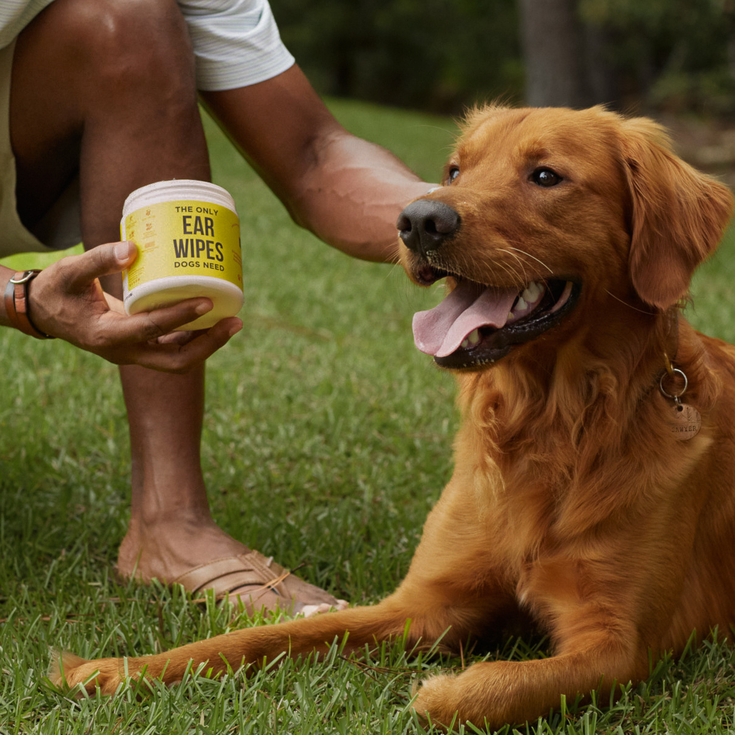Natural Rapport - The Only Ear Wipes Dogs Need