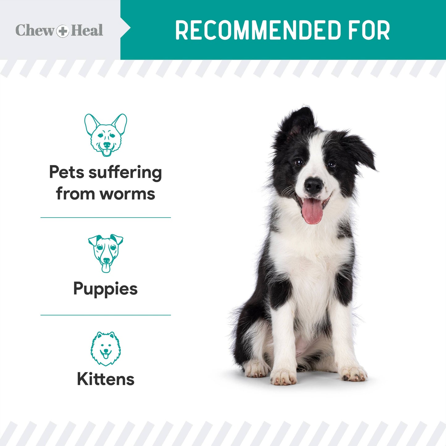 Chew + Heal - Stop The Worms Dewormer Liquid for Puppies & Kittens