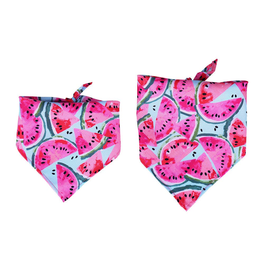 Cheerhunting - Furbud - Summer Pet Bandana