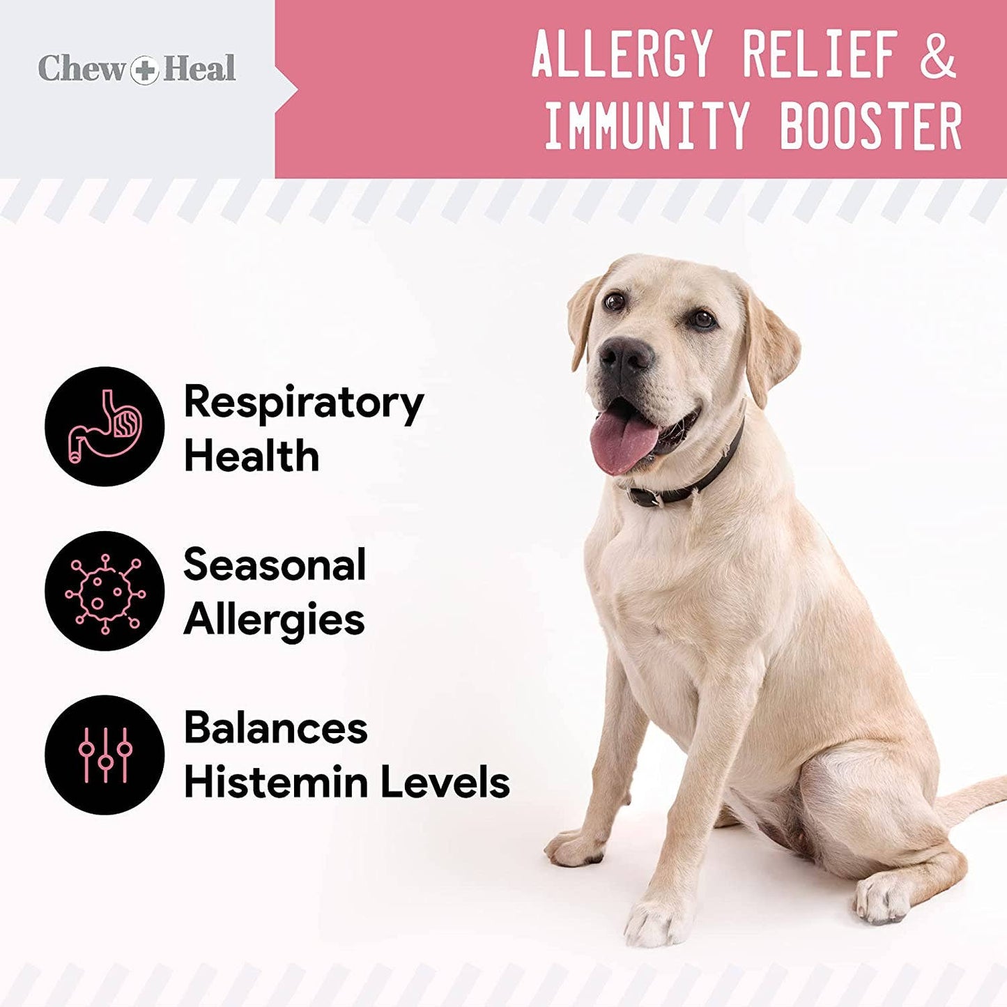 Chew + Heal - Allergy Chews with Antioxidants