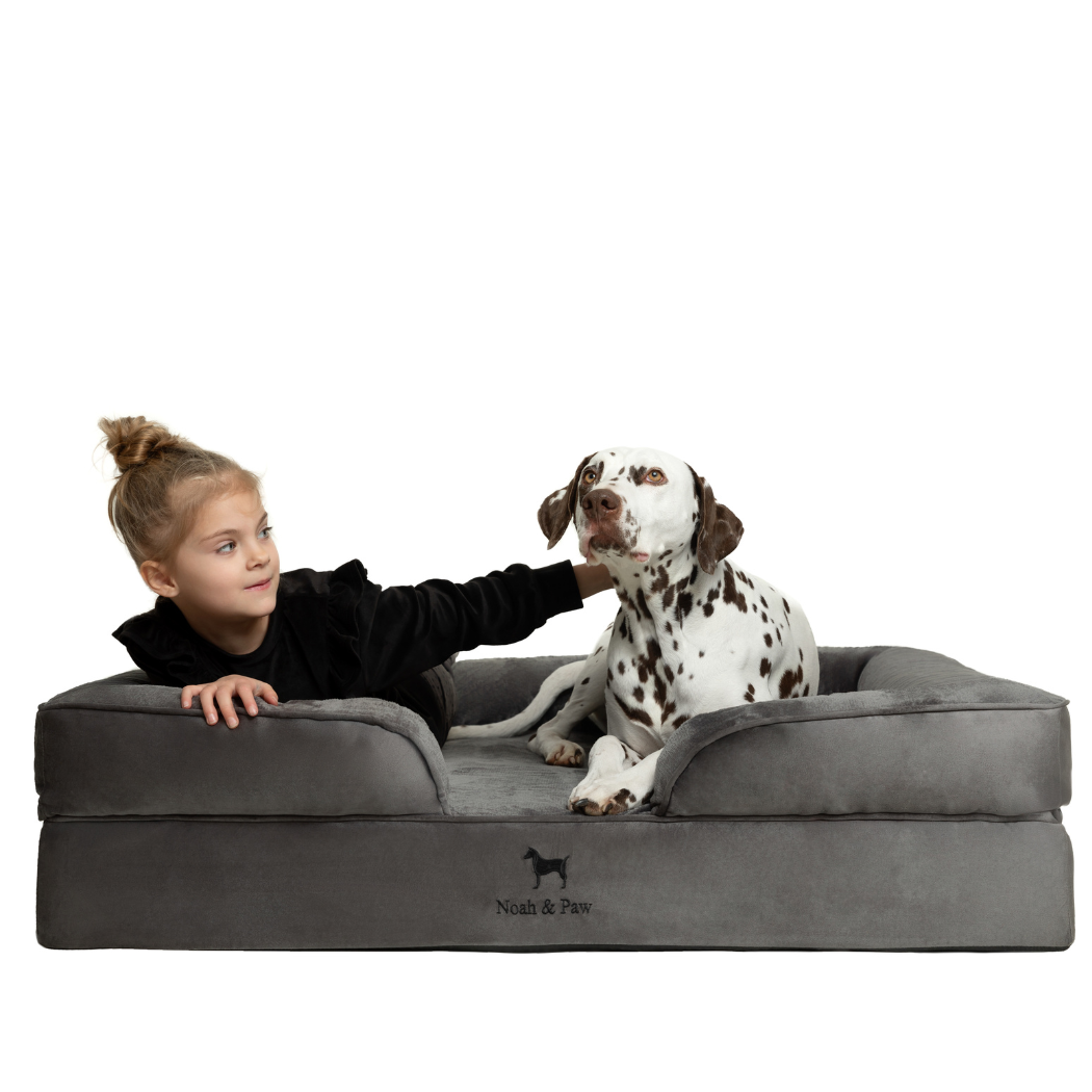 NOAH AND PAW LLC - Velvet Orthopedic Pet Bed, Memory Foam, Infused with Cooling Gel