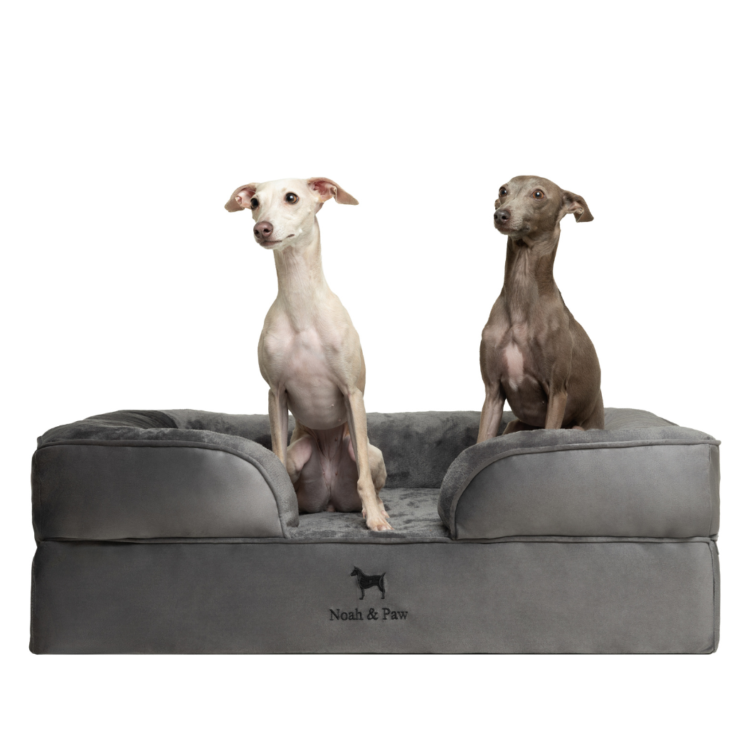 NOAH AND PAW LLC - Velvet Orthopedic Pet Bed, Memory Foam, Infused with Cooling Gel