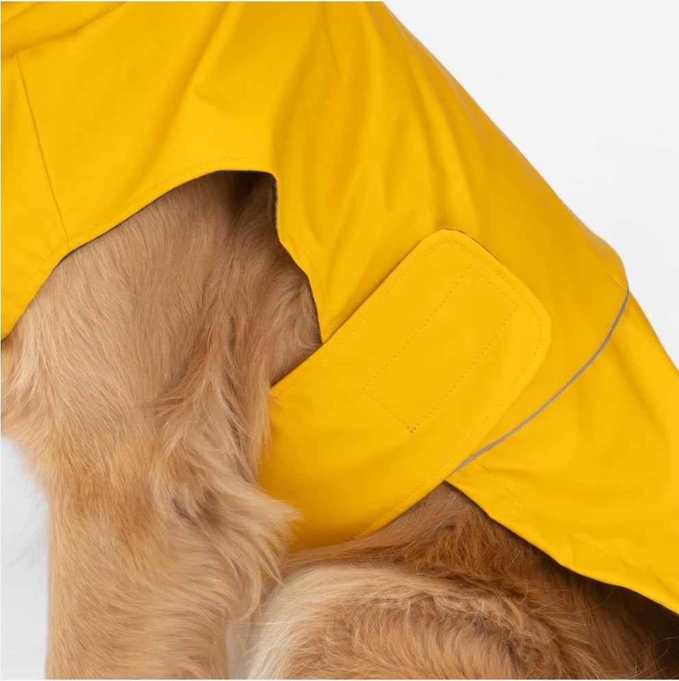 Aden 2.0 Dog Raincoat Yellow – Stylish, Waterproof, Adjustable, with Reflective Piping & Sun Alert Patch