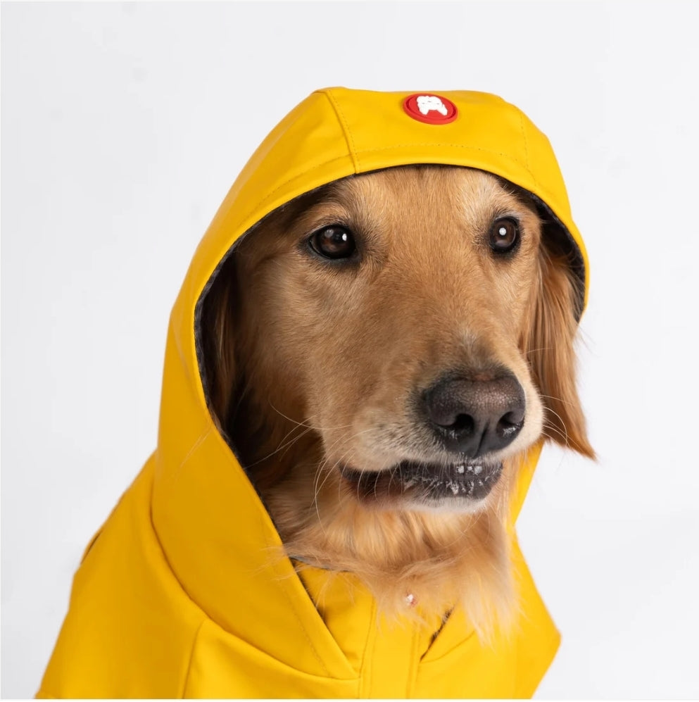 Aden 2.0 Dog Raincoat Yellow – Stylish, Waterproof, Adjustable, with Reflective Piping & Sun Alert Patch
