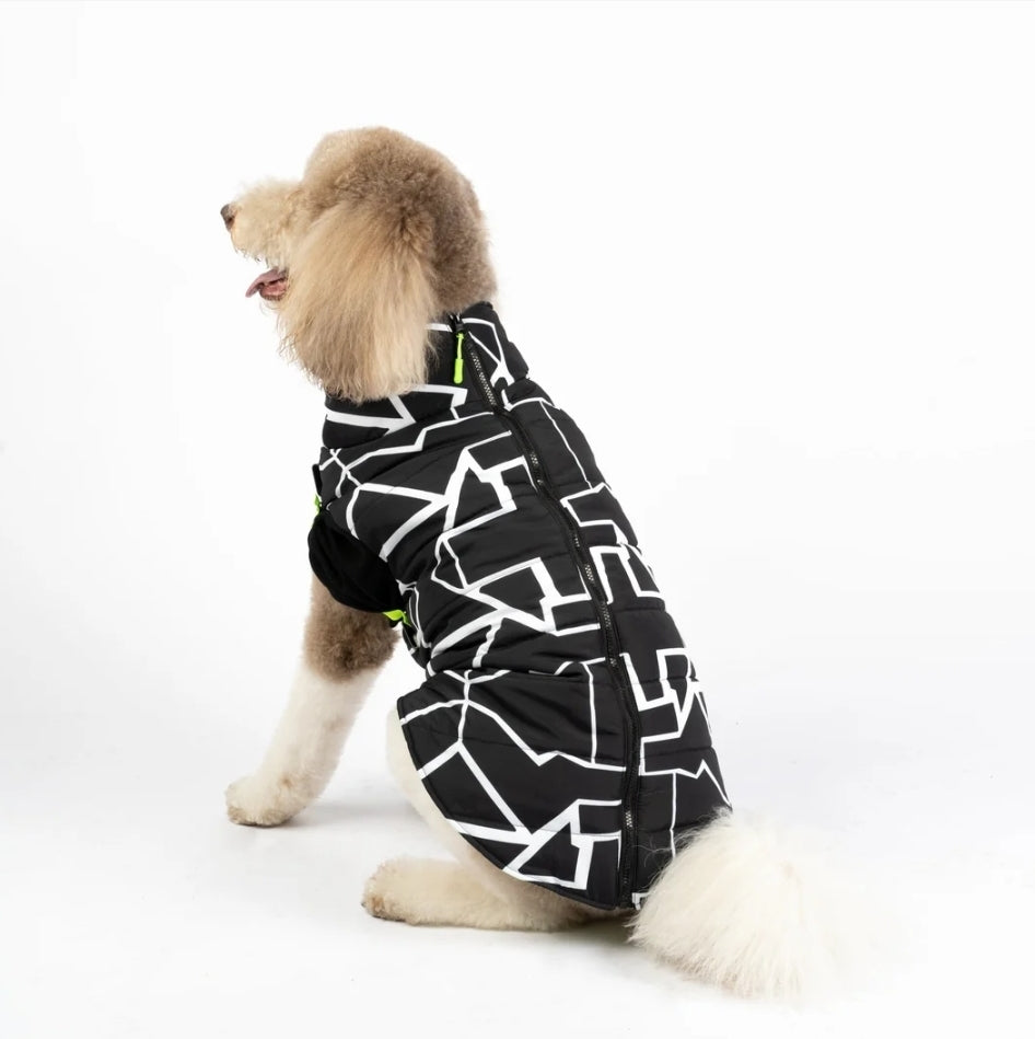 Fonda Dog Jacket – Neon Water-Resistant Jacket with Harness Attachment