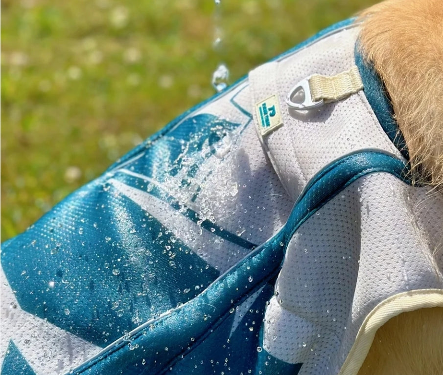 Trailbreeze Cooling Vest by Pawtrk