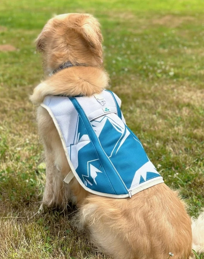 Trailbreeze Cooling Vest by Pawtrk