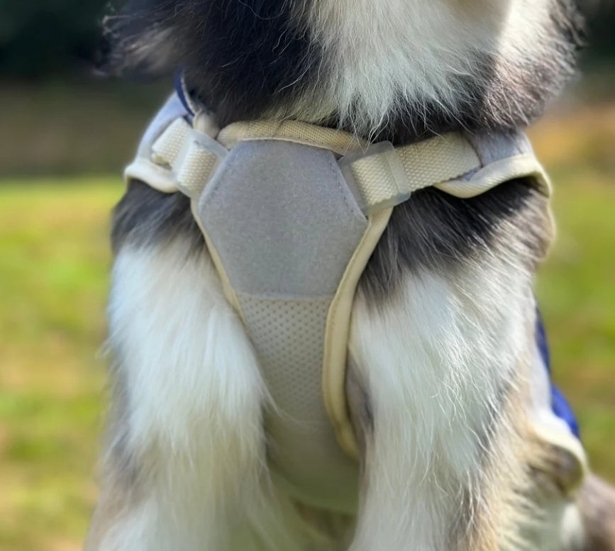Trailbreeze Cooling Vest by Pawtrk