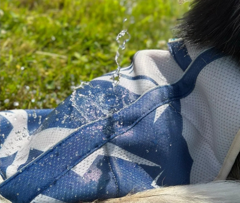 Trailbreeze Cooling Vest by Pawtrk