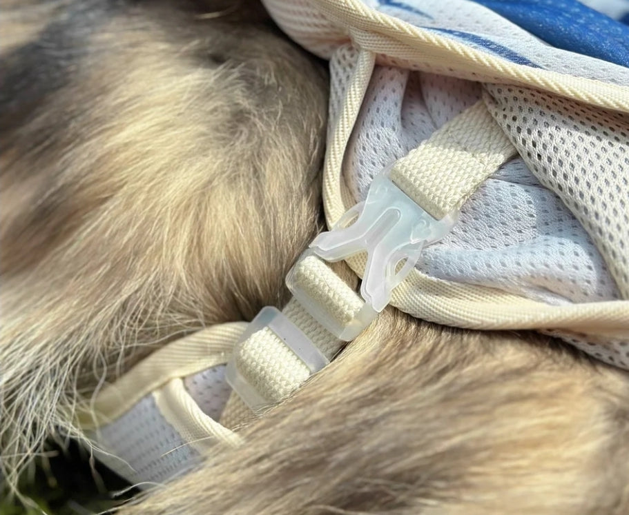 Trailbreeze Cooling Vest by Pawtrk