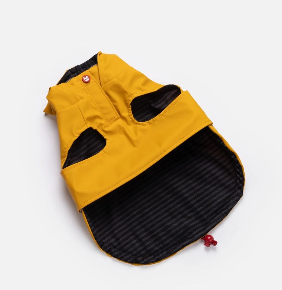 Aden 2.0 Dog Raincoat Yellow – Stylish, Waterproof, Adjustable, with Reflective Piping & Sun Alert Patch