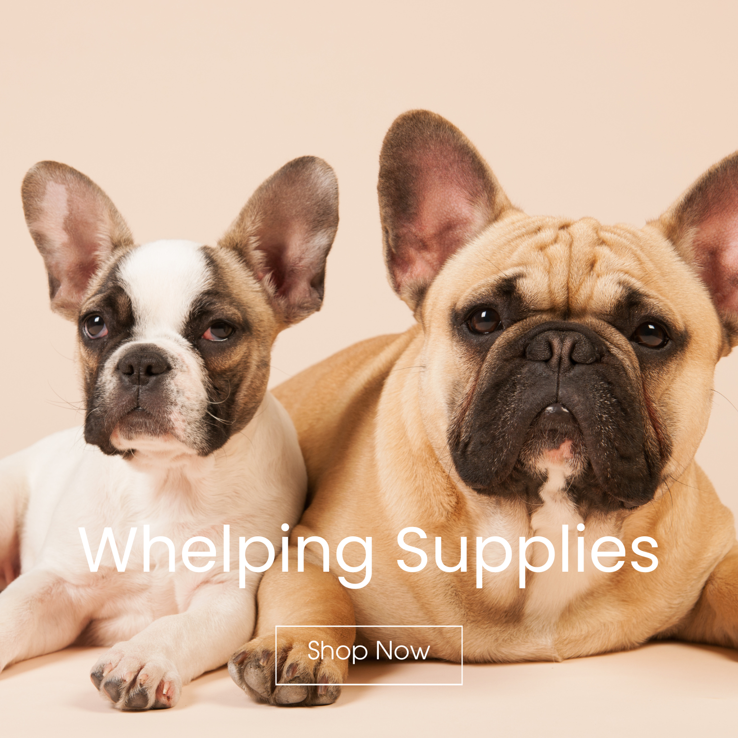 Whelping Supplies