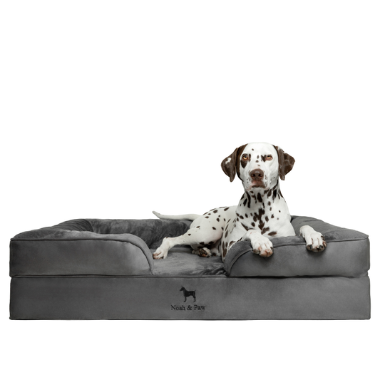 NOAH AND PAW LLC - Velvet Orthopedic Pet Bed, Memory Foam, Infused with Cooling Gel