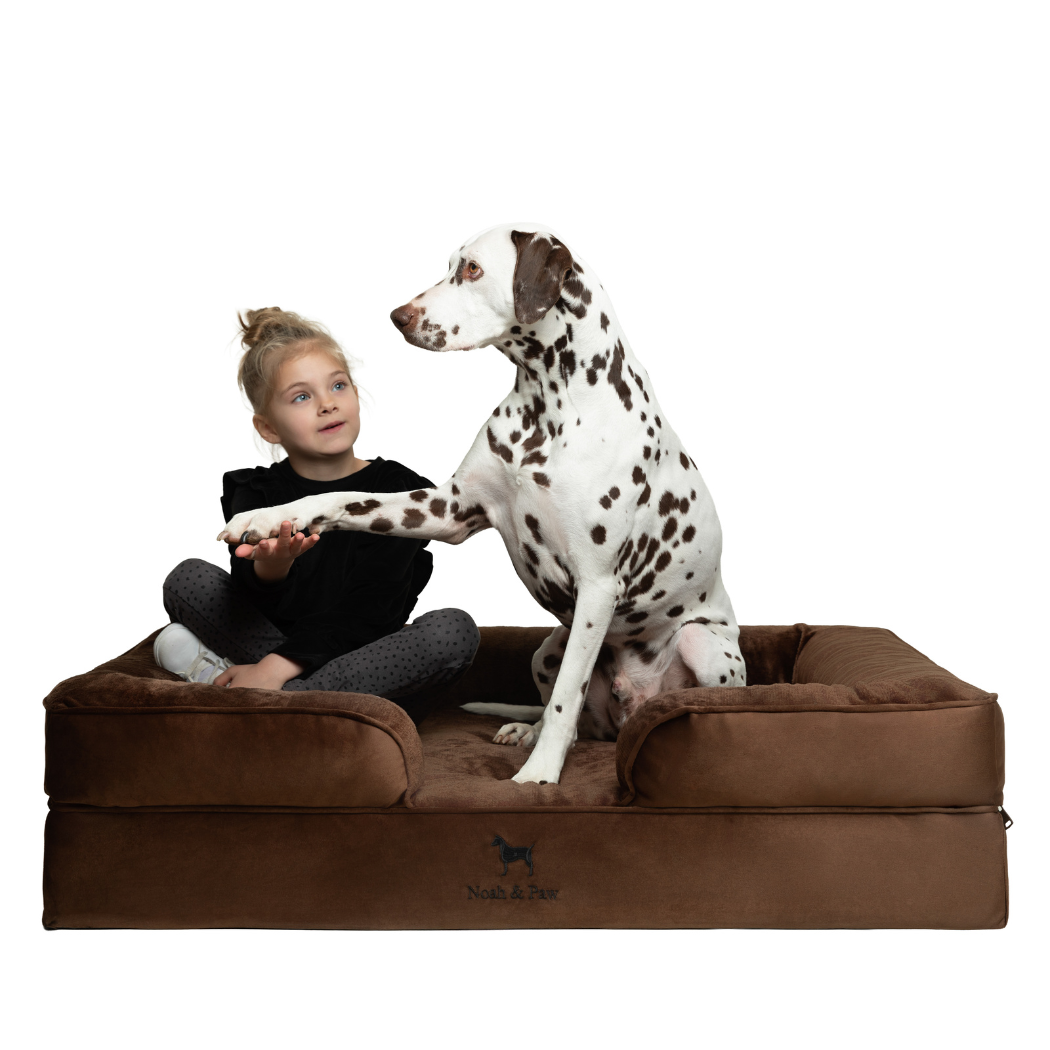 NOAH AND PAW LLC - Velvet Orthopedic Pet Bed, Memory Foam, Infused with Cooling Gel