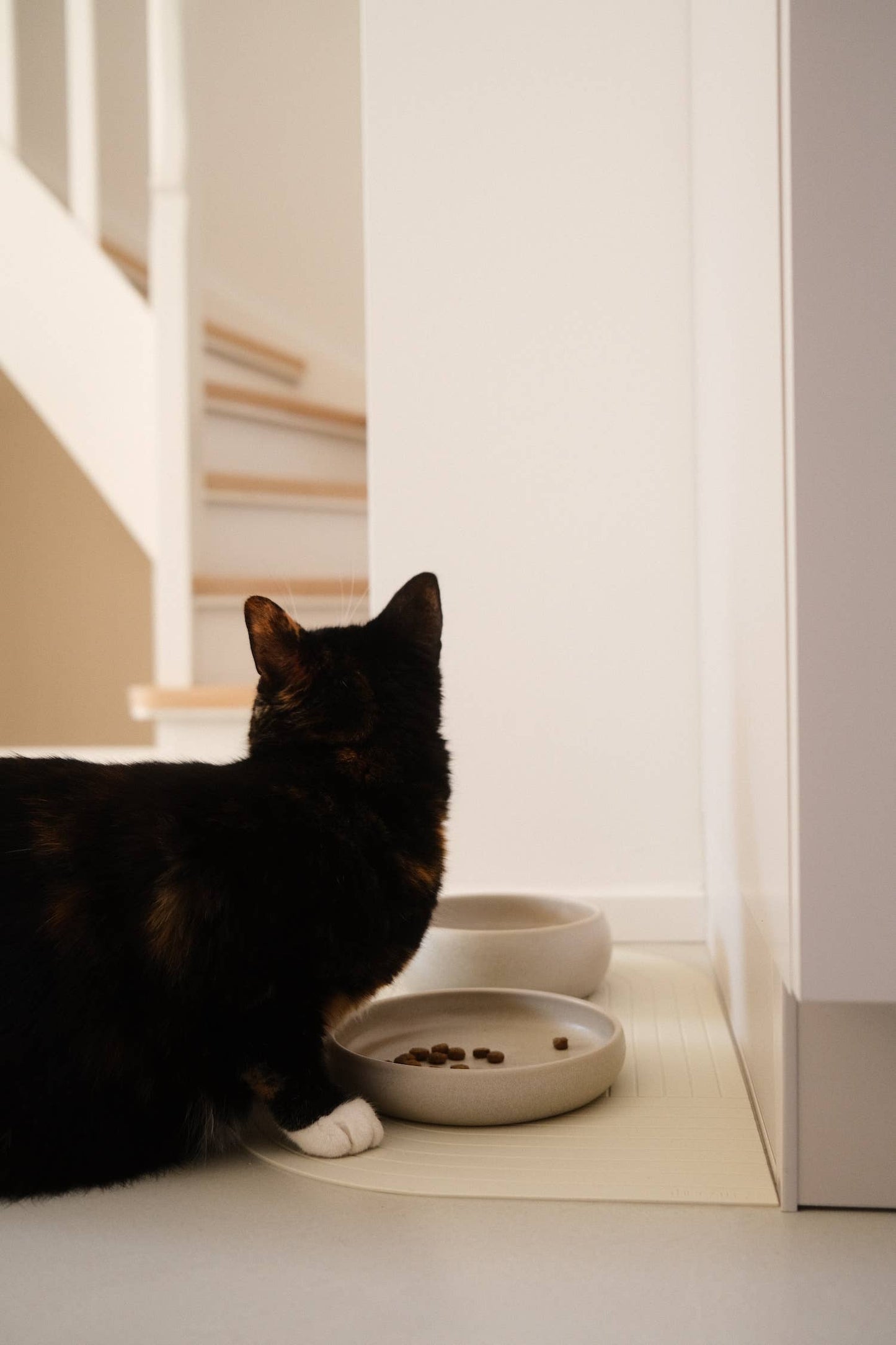 The Catery - Gourmet water bowl cream