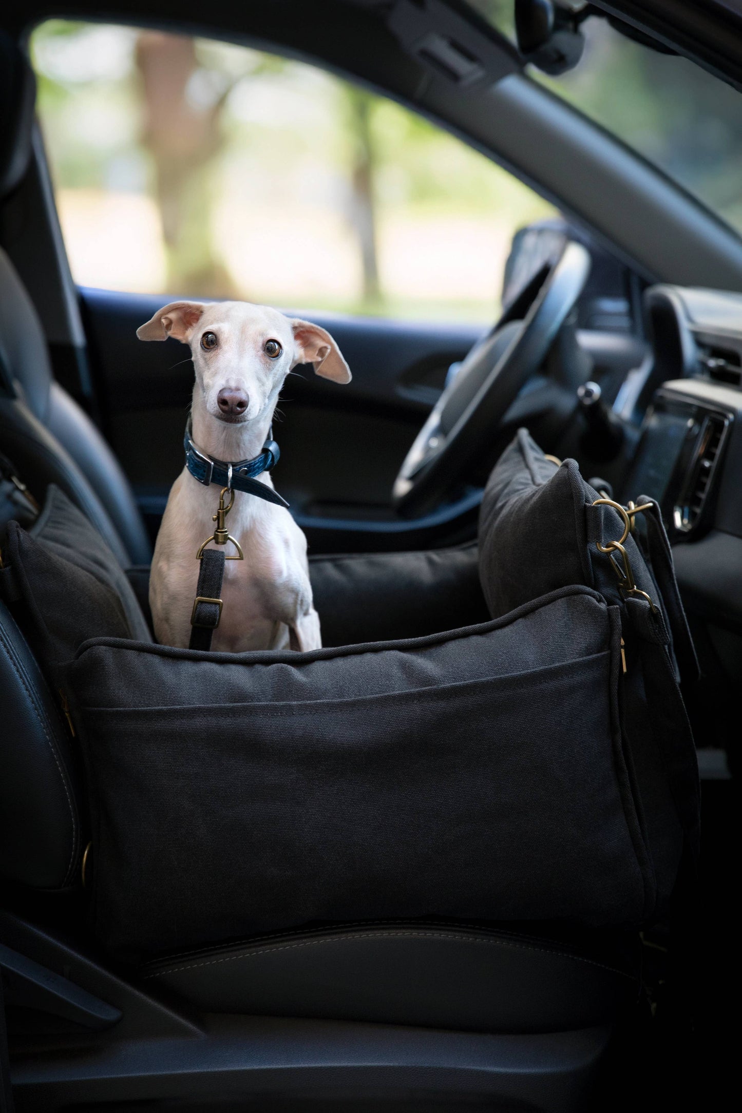 NOAH AND PAW LLC - Dog Car Seat Carrier Orthopedic Crushed Foam, Black, Canvas