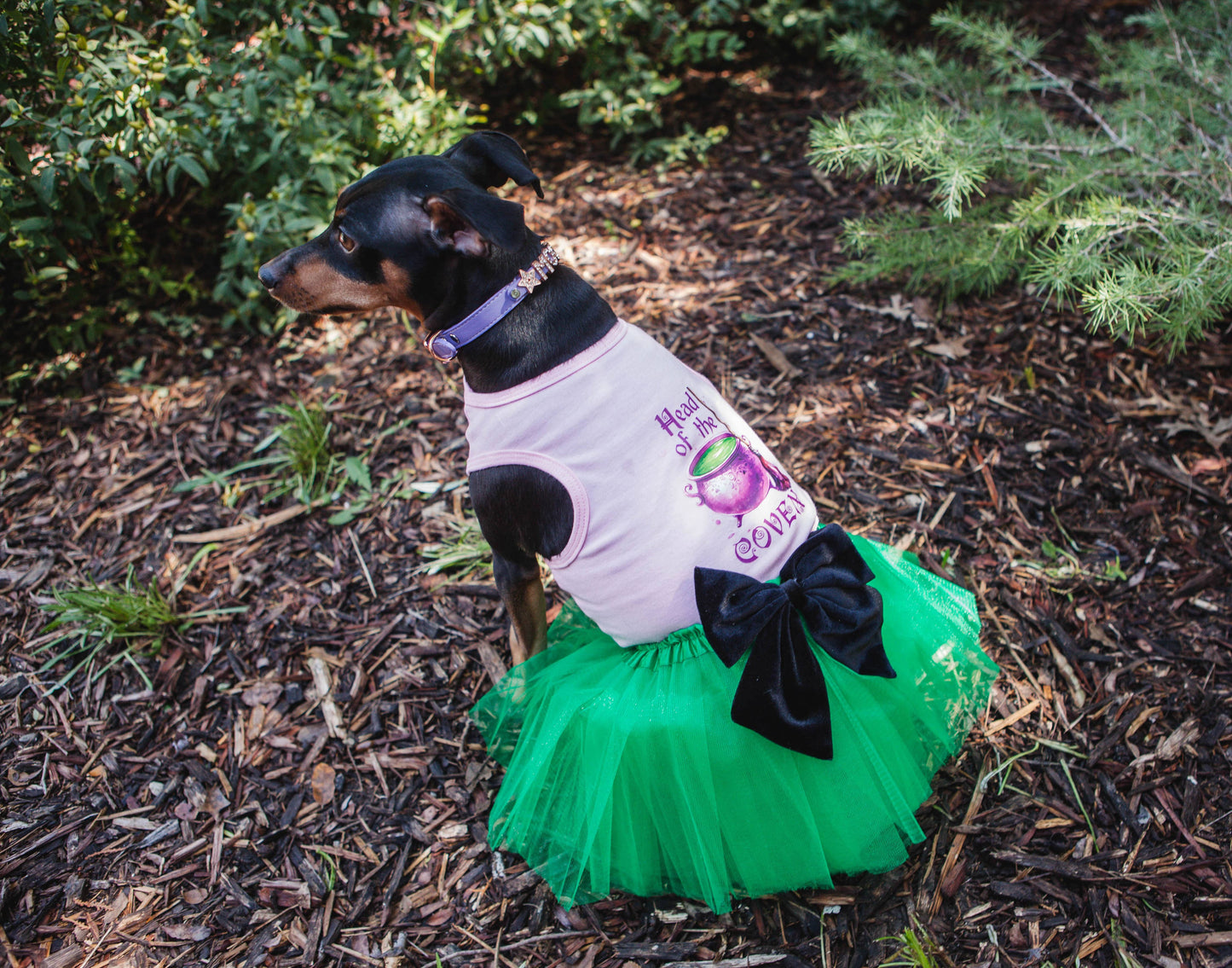 House of FurBaby - Halloween Dog Costume Shirt and Tutu | Head Of The Coven