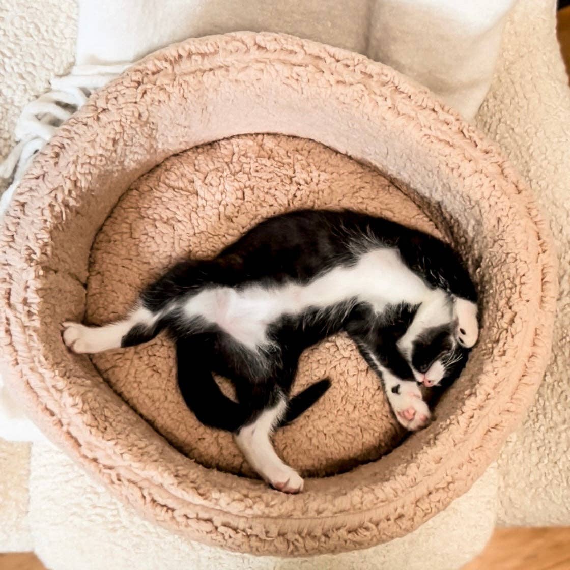 Ecocat - Ultra-Soft Sherpa Cat Bed – Plush Comfort for Cats