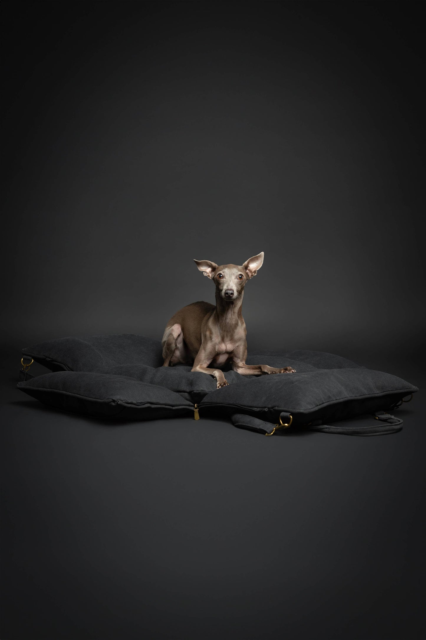 NOAH AND PAW LLC - Dog Car Seat Carrier Orthopedic Crushed Foam, Charcoal, Canvas