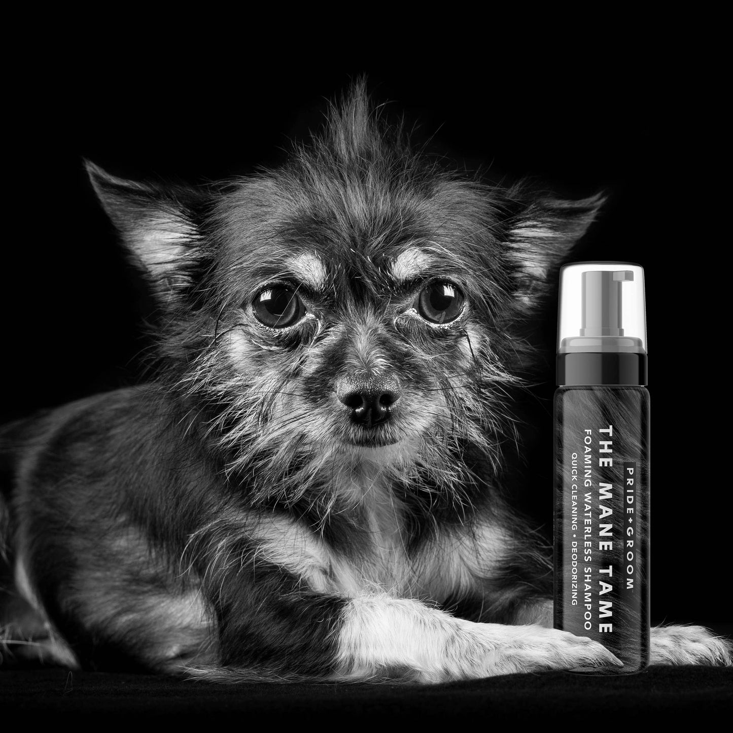PRIDE+GROOM - THE MANE TAME | WATERLESS SHAMPOO FOAM