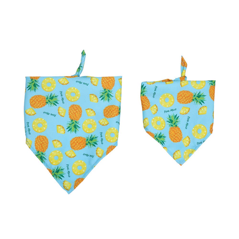 Cheerhunting - Furbud - Summer Pet Bandana
