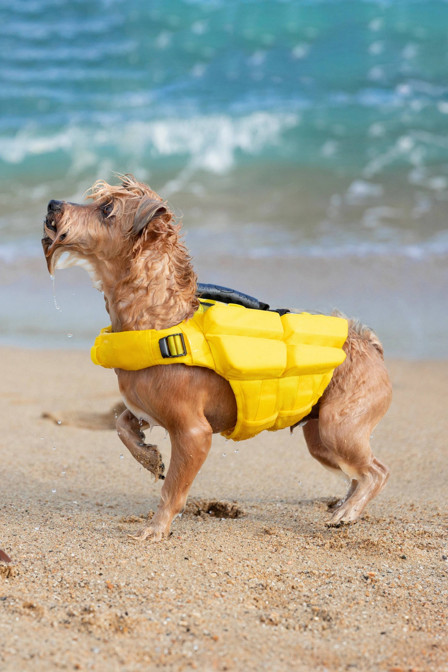 NOAH AND PAW LLC - Human Standards Dog Lifejacket Design with 4x Foam Support for Max Floating - Yellow
