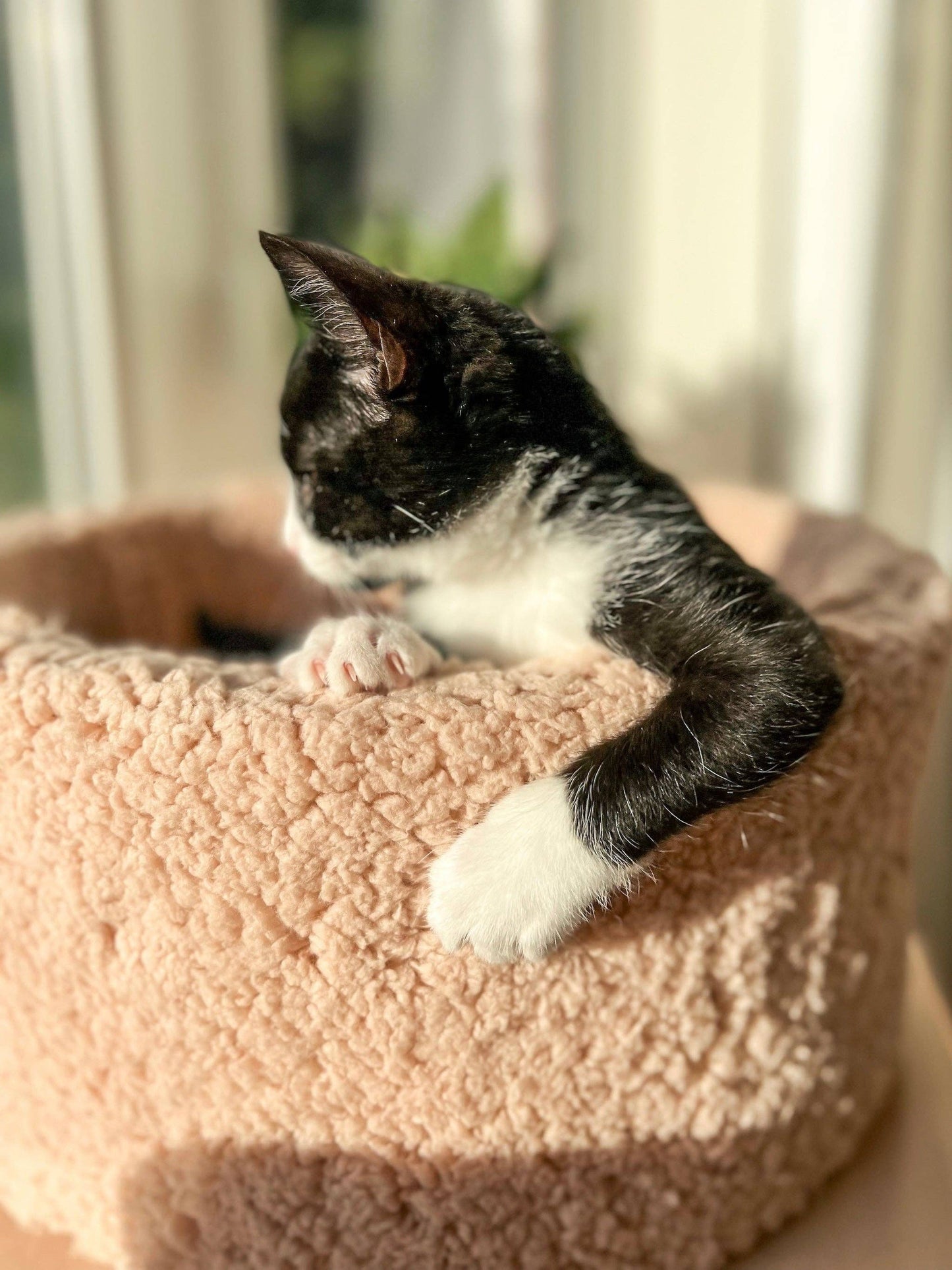 Ecocat - Ultra-Soft Sherpa Cat Bed – Plush Comfort for Cats